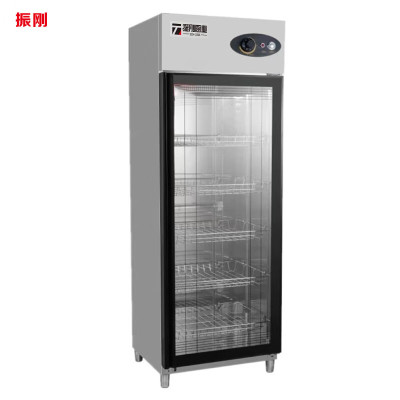 振刚单门玻璃门消毒柜 500*500*1750 台
