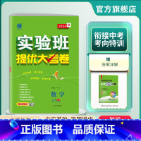 数学 九年级/初中三年级 [正版]2024年秋 初中数学实验班提优大考卷九年级全一册华师大版 数学九年级HSD版同步测试