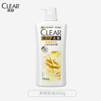 清扬去屑控油洗发水 持久留香洗头膏洗发液男女士 养根韧发 650g