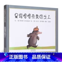 [正版]邓超微博安徒生金奖是谁嗯嗯在我的头上硬壳精装儿童绘本0-3-5-6岁故事书书籍 宝宝启蒙情商图画书 幼儿园早教