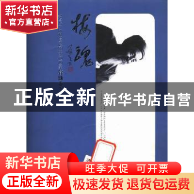 正版 梅魂:纪念一位被遗忘的大书画家管锄非先生 张小补著 湖南