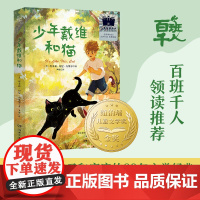 2024寒假百班千人五年级少年戴维和猫三四五六年级阅读课外书非必读老师儿童文学寒假阅读小学生课外书阅读经典正版书籍