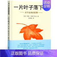 一片叶子落下来 绘本 [正版]是谁嗯嗯在我的头上硬壳精装 儿童绘本幼儿故事书 宝宝启蒙绘本图画书 幼儿园绘本 是谁嗯嗯在