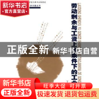 正版 劳动剩余与工资上涨条件下的工业化 丁守海著 中国人民大学