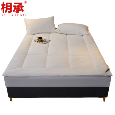 枂承床褥1.5m3cm厚床