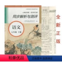 语文 七年级下 [正版](全新)同步解析与测评语文七年级下册人民教育出版社初一1七7年级下学期语文人教金学典同步练习册单