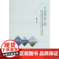 以乌梁素海为例的山水林田湖草沙生态保护修复试点工程创优评优的思考和实践