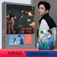 [正版]我与世界只差一个你 张皓宸 暖心治愈的爱情故事 电影《念念相忘》原著小说 青春文学 果麦出品