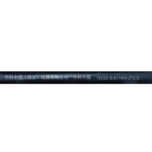 华科中缆铜芯铠装线ZR-YJV22-0.6/1KV-5*6 /米
