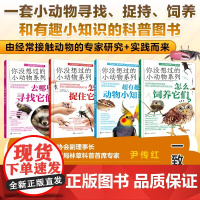 全4册 你没想过的小动物系列 怎么饲养它们 去哪里寻找它们 超有趣的动物小知识 怎么捉住它们 小学生动物知识图文科普读物