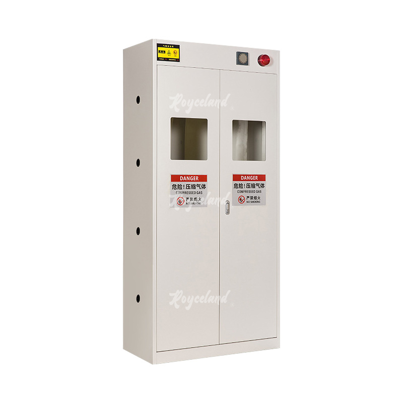 洛诗莲 LSL4041363气瓶柜全钢气体防爆柜气罐储存柜 白色双瓶一代报警