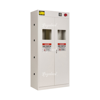 洛诗莲 LSL4041363气瓶柜全钢气体防爆柜气罐储存柜 白色双瓶一代报警