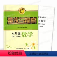 [正版]智慧学习步步高丛书 精练与提高 数学 七年级第二学期/7年级下 含测试卷 中西书局 上海版配套教辅练习