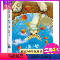 兔子坡 [正版]胡桃夹子 国际大奖儿童文学小说书籍童话故事书三四五六年级经典书目阅读7-8-9-10-12岁小学生课外阅