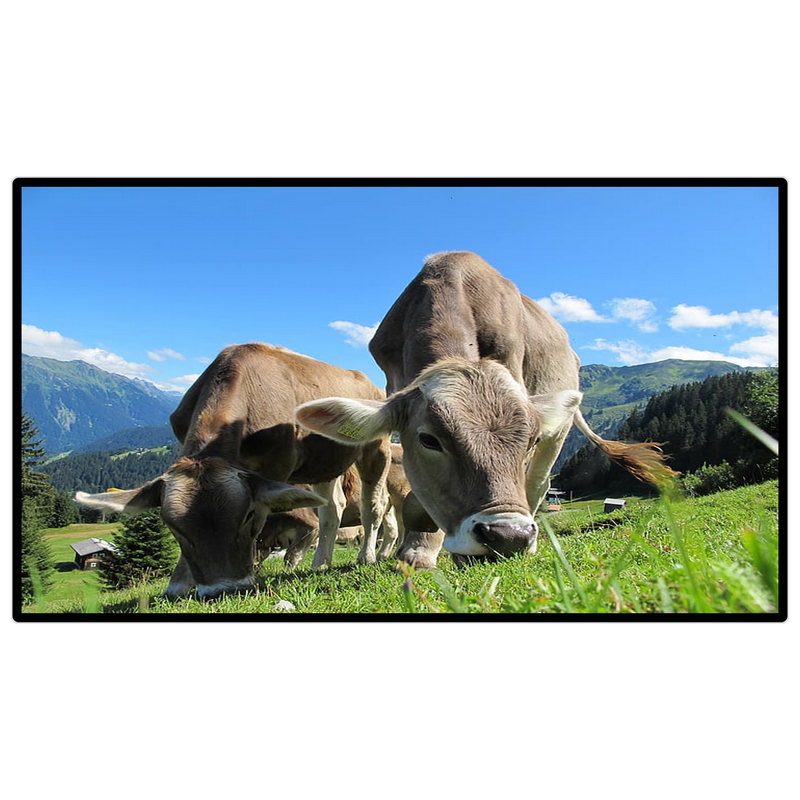 昌裕CY-XF-D6Y85寸壁挂式广告机大厅取号排队信息发布屏