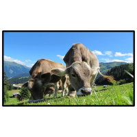 昌裕CY-XF-D6Y85寸壁挂式广告机大厅取号排队信息发布屏