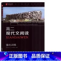 [正版]高二 现代文阅读 强化训练黑皮语文系列 高中语文现代文阅读训练全解 高中课外阅读理解训练大全 高一阶梯阅读训练