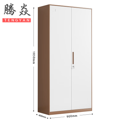 腾焱文件柜咖白通铁台