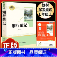 [人教版]湘行散记 [正版]朝花夕拾 鲁迅原著书籍人教版无删减赠考点 世界名著七年级上册7初一必书课外阅读 人民教育出版
