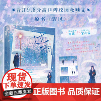 正版 过雨 从羡 原名《野风》青春文学校园初恋双向暗恋成长救赎晋江高分言情小说实体书籍