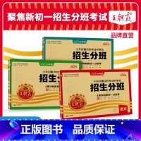 小升初[招生分班]-语数英3本套装 小学升初中 [正版]2025新版小升初必刷题重点校毕业升学及招生分班卷真题精编突破密