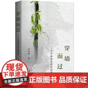 穿墙而过:一个个体投资者的思想世界