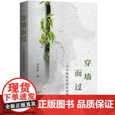 穿墙而过:一个个体投资者的思想世界