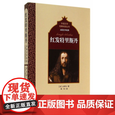 法国文学经典:红发特里斯丹 小仲马 百花洲文艺出版社 正版书籍