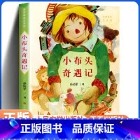 小布头奇遇记 [正版]小布头奇遇记 人民文学出版社 小学生一年级二年级三年级孙幼军童话故事书儿童读物彩色小学生课外阅读书