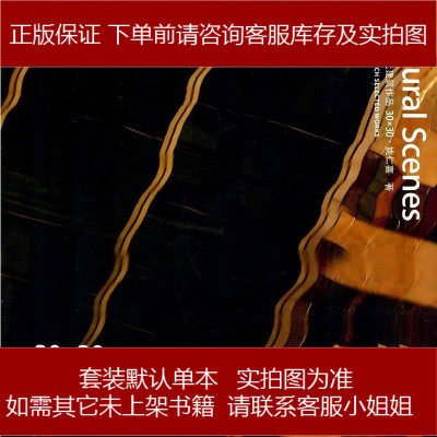 大元建筑作品:艺姚仁喜辽宁科学技术出版社9787538193732