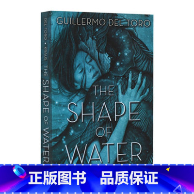 水形物语 平装 [正版]灿烂千阳 英文原版小说 A Thousand Splendid Suns 英文版进口书The K