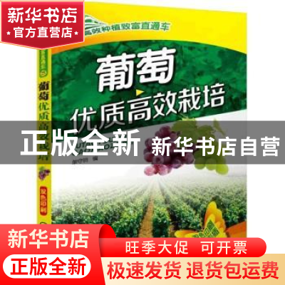 正版 葡萄优质高效栽培 单守明 机械工业出版社 9787111521075 书