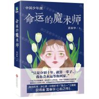 [N]命运的魔术师/中国少年派-9787514231199