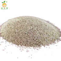 廷豪果 狗牙根草籽 耐热耐旱 绿化草坪种子 净籽 /千克