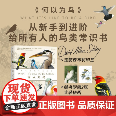 [赠装裱画]何以为鸟 西布利的鸟类世界 戴维·艾伦·西布利 著 鸟类常识科普书籍 观鸟指南作者 家庭自然教育启蒙