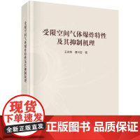 [按需印刷] 受限空间气体爆炸特性及其抑制机理