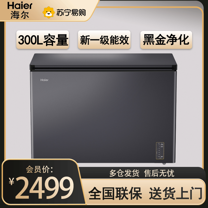海尔(Haier)300升大容量风冷无霜深冷速冻黑金净化家用商用冷藏柜冷冻柜小冰箱冷柜BC/BD-300WGHEC