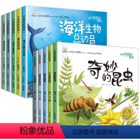 全套10册 大自然的奥秘 第①+②辑 [正版]大自然的奥秘 幼儿园科学启蒙绘本小中班阅读4一5岁幼儿绘本3–6岁儿童科普