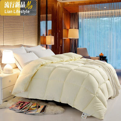 被子冬被宿舍单人学生棉被加厚保暖空调被四季通用春秋被芯被褥 三维工匠