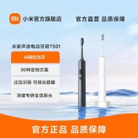 小米米家声波电动牙刷T501成人款男女全自动美白充电式情侣礼盒装 白色
