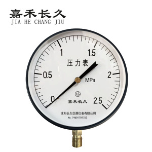 嘉禾长久 压力表检测型 Y250 块