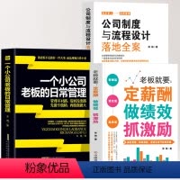 [正版]3册 一个小公司老板的日常管理+公司制度与流程设计落地全案+老板就要定薪酬做绩效抓激励书籍 创业经营百科团队薪