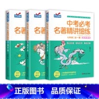 [七八九年级全3册]中考必考名著精讲细练 初中通用 [正版]2025新 初中名著导读考点精练七八九年级中考必考名著精讲细