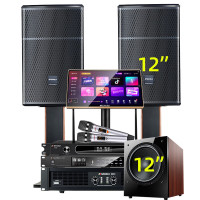 山水(SANSUI)SQ12家用电视组合功放套装唱歌商用设备音箱 SQ12专业箱+功放+效果器+U段麦+3T+低音炮
