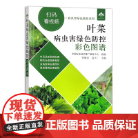 正版 叶菜病虫害绿色防控彩色图谱 任锡亮 高天一 全国农业技术推广服务中心 中国农业出版社