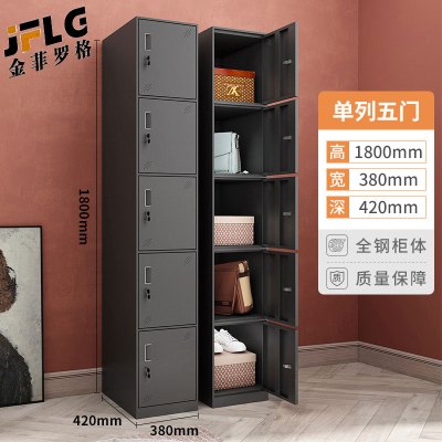 金菲罗格黑色钢制更衣柜加厚储物柜员工宿舍拆装换衣柜 单列5门