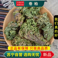 甄选卷柏100克正品干货柏岩柏草九死还魂草小叶石柏还阳草一把抓煮水泡茶