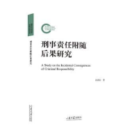 音像刑事责任附随后果研究孙燕山著