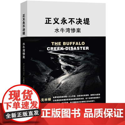 正版 正义永不决堤-水牛湾惨案 [美]杰拉尔德.斯特恩 何帆翻译 法律出版社