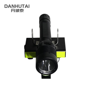 丹琥泰 DHT-EB8013 10W IP66 高亮度防水防尘手电筒(计价单位:个)黑色